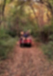 Hayride 2_edited.jpg